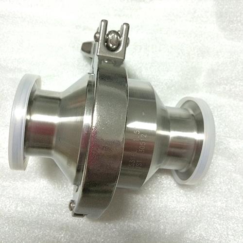 Clamped End Check Valve